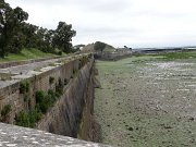 DSC01979