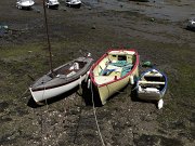 DSC02636