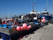DSC03158