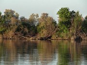 DSC00841