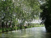 DSC00979