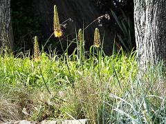 DSC09345