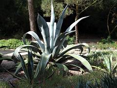 DSC09360
