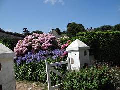 DSC00024