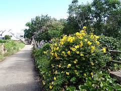 DSC09914