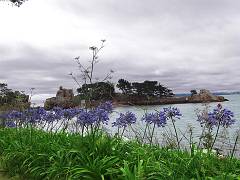 DSC09927