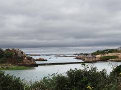 DSC09939