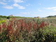 DSC09991