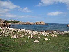DSC09996