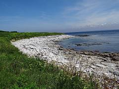 DSC09184