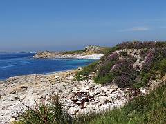 DSC09189
