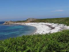 DSC09191