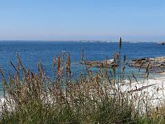 DSC09196