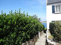 DSC09205
