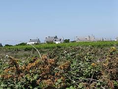 DSC09259