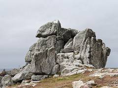 DSC09545