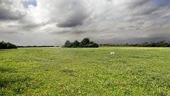 DSC03857