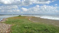 DSC05771