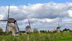 DSC05710